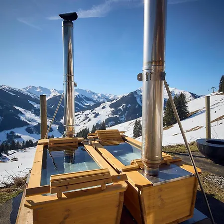 Almhuetten Domek alpejski