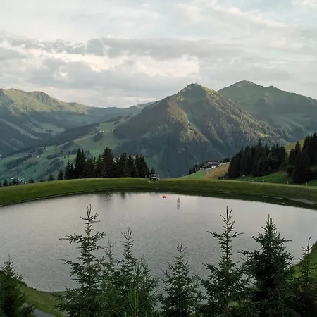 Almhuetten זאלבך הינטרגלם