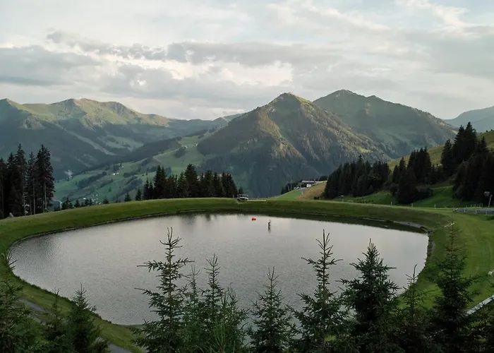 Almhuetten ザールバッハ・ヒンターグレム